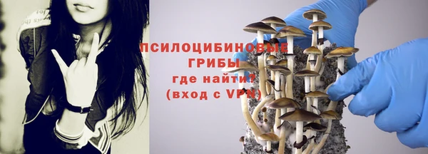 трава Лабытнанги