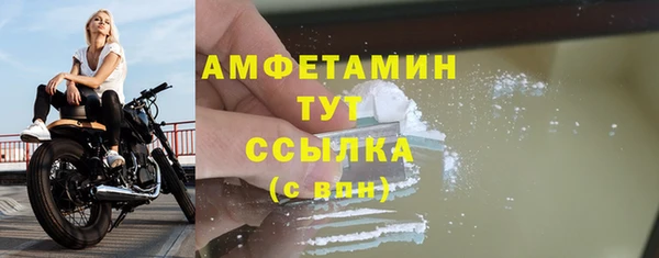 мдпв Ладушкин
