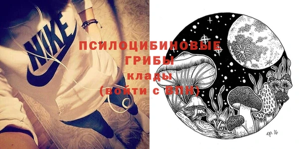 трава Лабытнанги