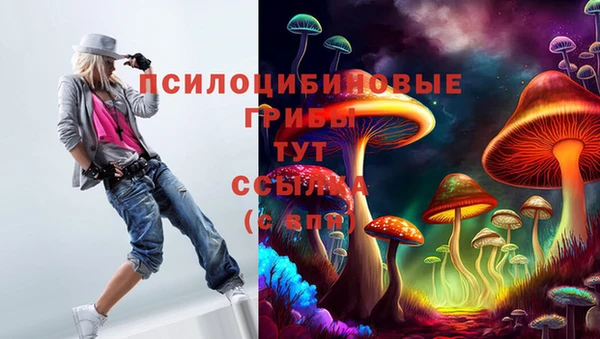 mdpv Лагань