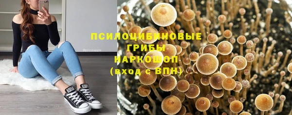мдпв Ладушкин