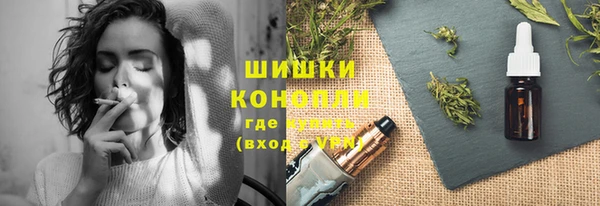 мдпв Ладушкин