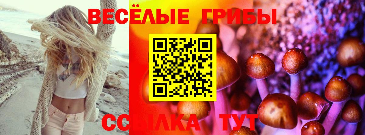 Галлюциногенные грибы мицелий  Вход с VPN  Чайковский 