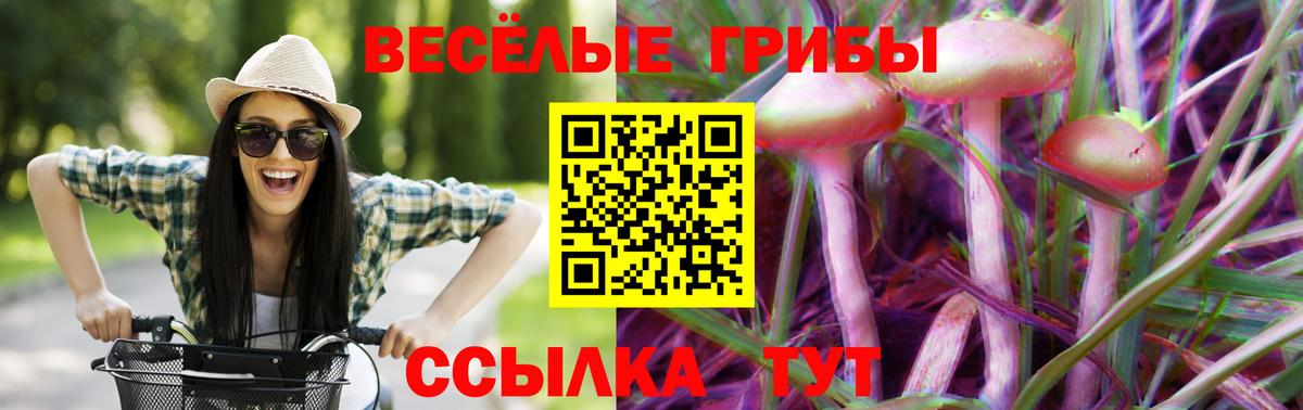 Псилоцибиновые грибы прущие грибы Чайковский